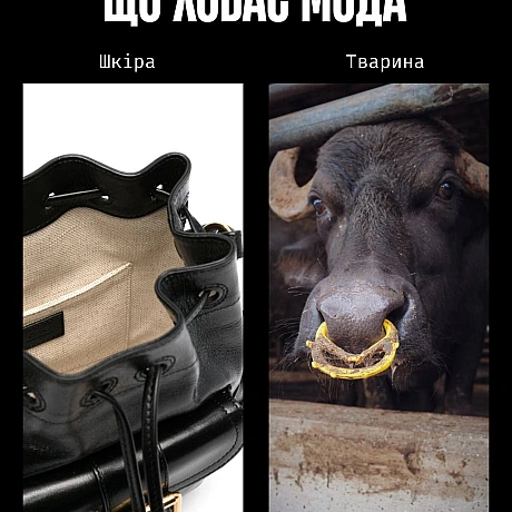 Сьогодні — День моди. І поки одні обговорюють тренди, ми говоримо про те, що досі вважають нормою: шкіру, вовну, шовк, хутро та ... - Кожна тварина на we.ua
