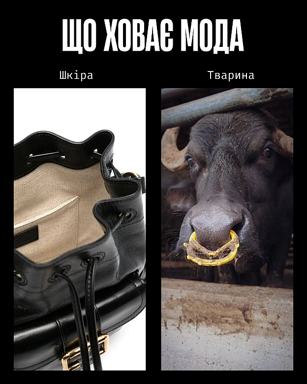 Сьогодні — День моди. І поки одні обговорюють тренди, ми говоримо про те, що досі вважають нормою: шкіру, вовну, шовк, хутро та ... - Кожна тварина on we.ua