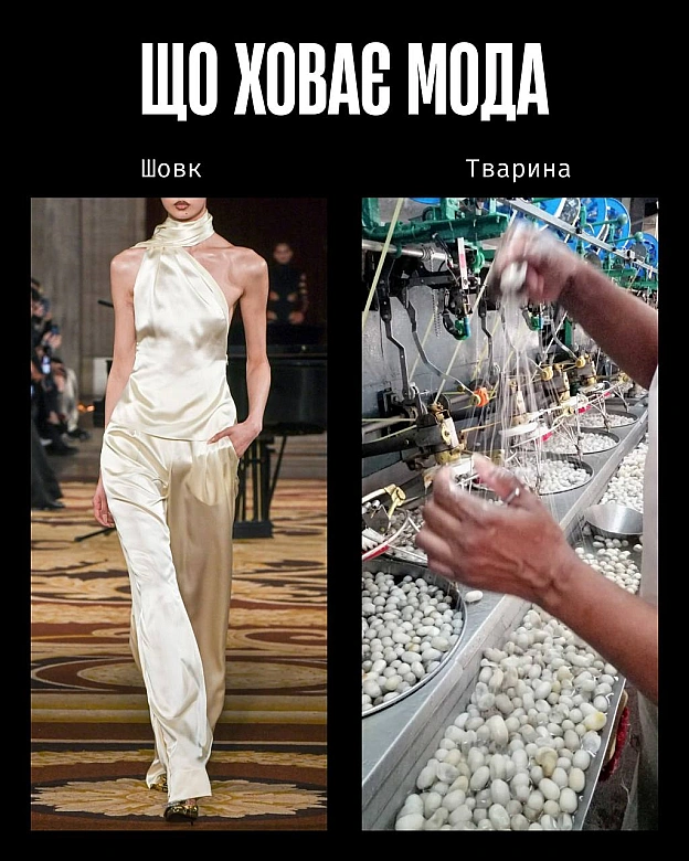 Кожна тварина on we.ua