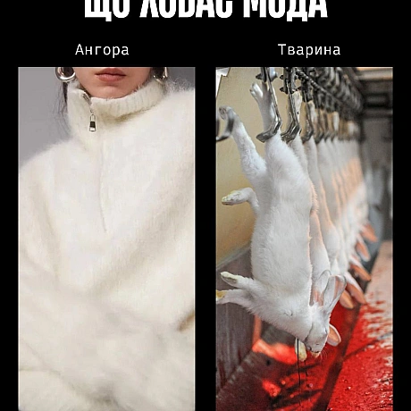 Сьогодні — День моди. І поки одні обговорюють тренди, ми говоримо про те, що досі вважають нормою: шкіру, вовну, шовк, хутро та ... - Кожна тварина на we.ua