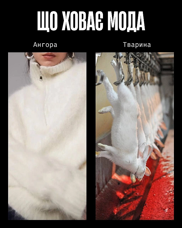Кожна тварина on we.ua