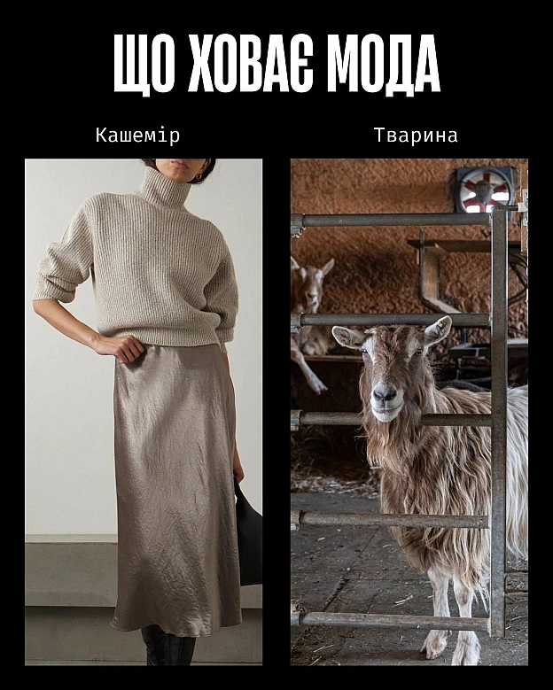 Кожна тварина on we.ua