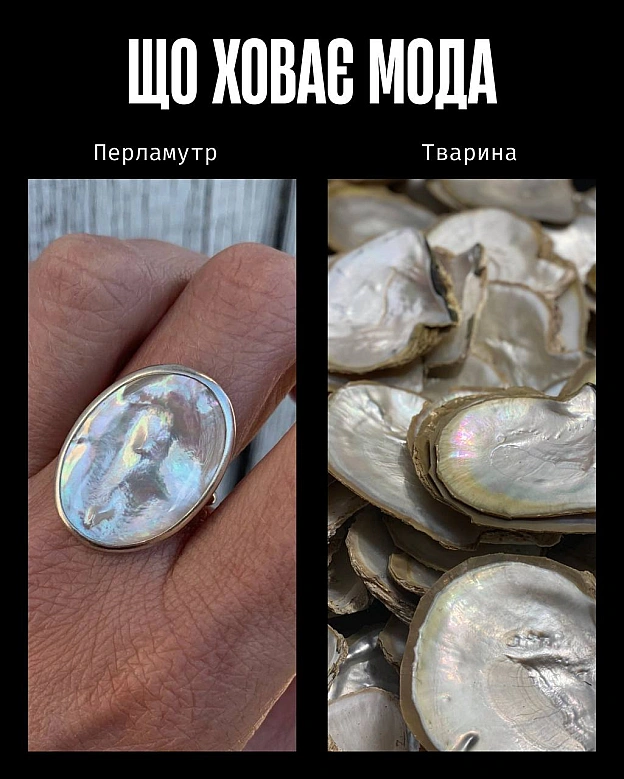 Кожна тварина on we.ua