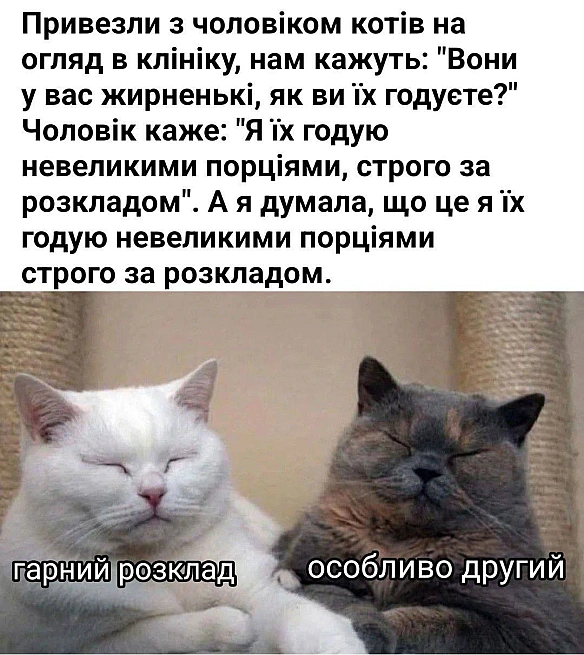 Баба і Кіт на we.ua