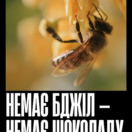 Бджоли запилюють більшість їстівних культур — від ранкової кави до яблука на перекус і гарніру до вечері. Без них зникнуть не ли... - Кожна тварина на we.ua