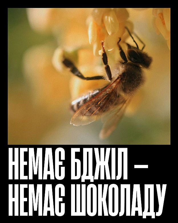 Бджоли запилюють більшість їстівних культур — від ранкової кави до яблука на перекус і гарніру до вечері. Без них зникнуть не ли... - Кожна тварина on we.ua