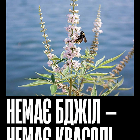Бджоли запилюють більшість їстівних культур — від ранкової кави до яблука на перекус і гарніру до вечері. Без них зникнуть не ли... - Кожна тварина на we.ua