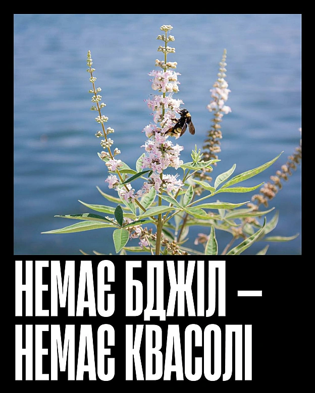 Кожна тварина on we.ua