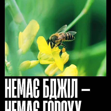Бджоли запилюють більшість їстівних культур — від ранкової кави до яблука на перекус і гарніру до вечері. Без них зникнуть не ли... - Кожна тварина на we.ua