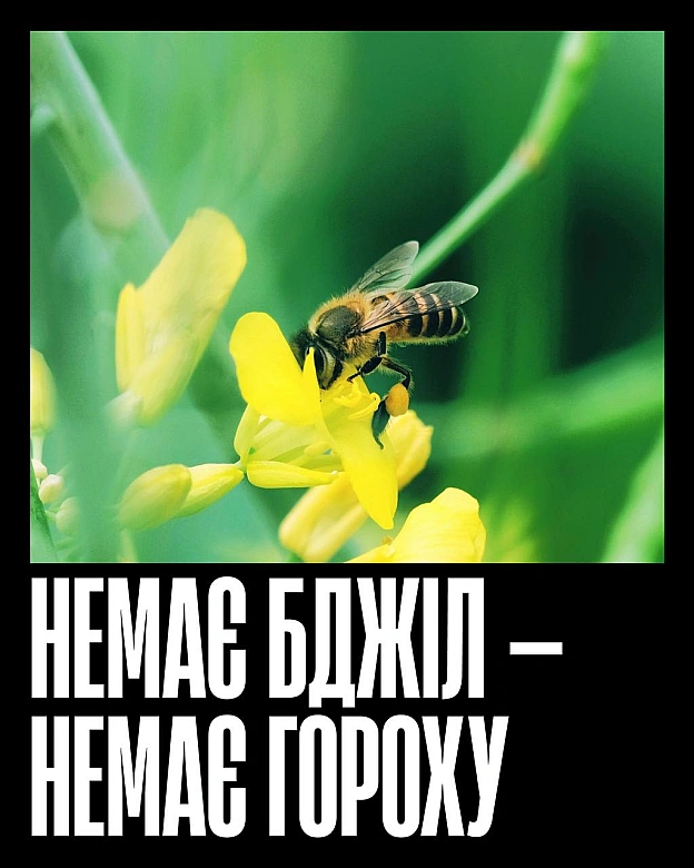 Кожна тварина on we.ua