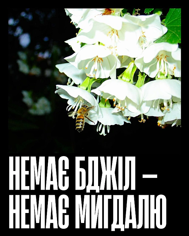 Кожна тварина on we.ua