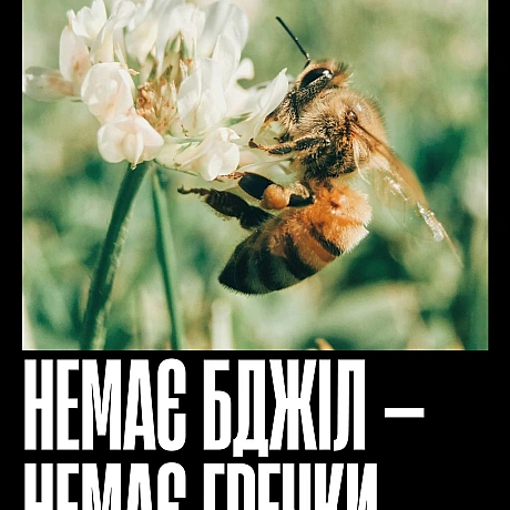 Бджоли запилюють більшість їстівних культур — від ранкової кави до яблука на перекус і гарніру до вечері. Без них зникнуть не ли... - Кожна тварина на we.ua