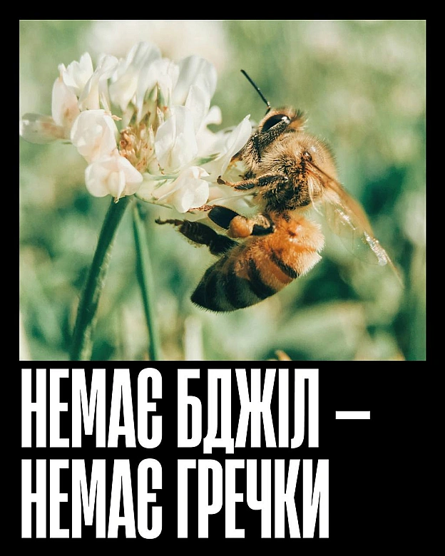 Кожна тварина on we.ua