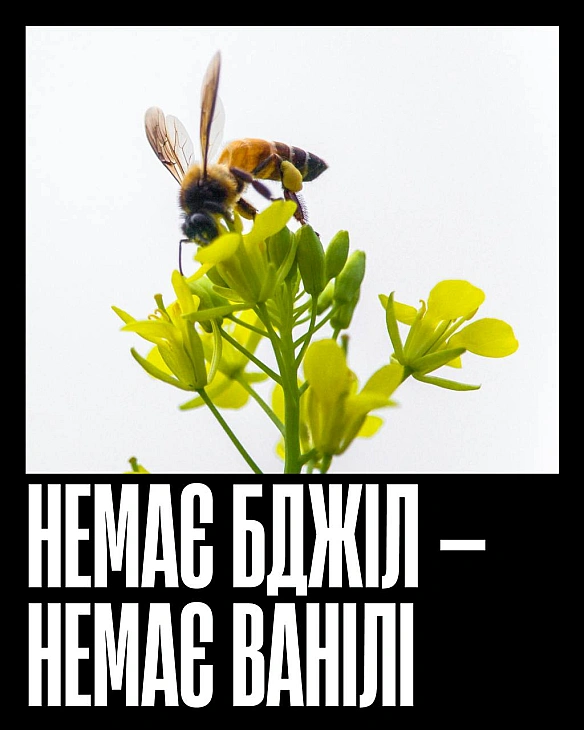 Кожна тварина on we.ua