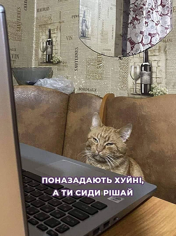 Баба і Кіт на we.ua