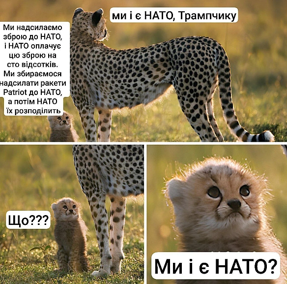 Мем по темі від нашого підписника Ігоря Там можна додати, що США були ініціаторами створення НАТО.... взагалі тоді розрив шабл... - Ціна Держави на we.ua