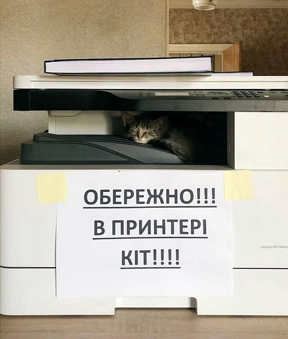 Варто взяти до відома☝🏻 - Хтивий Програміст на we.ua