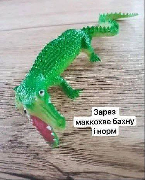 Баба і Кіт на we.ua