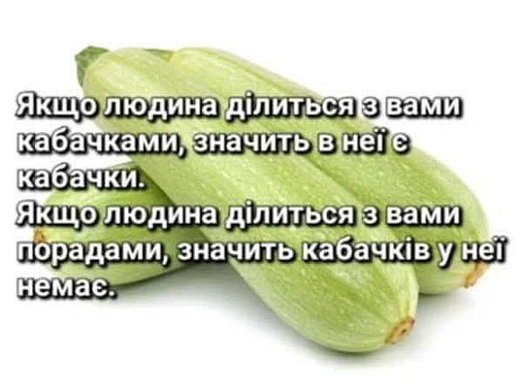 Баба і Кіт на we.ua