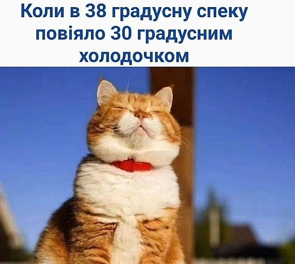 Баба і Кіт на we.ua