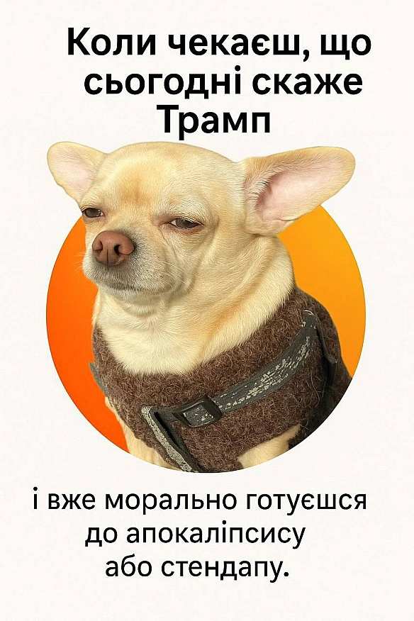 Баба і Кіт на we.ua
