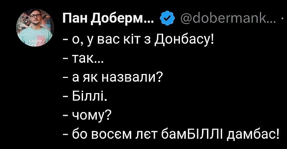 Баба і Кіт на we.ua