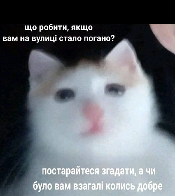 Баба і Кіт на we.ua
