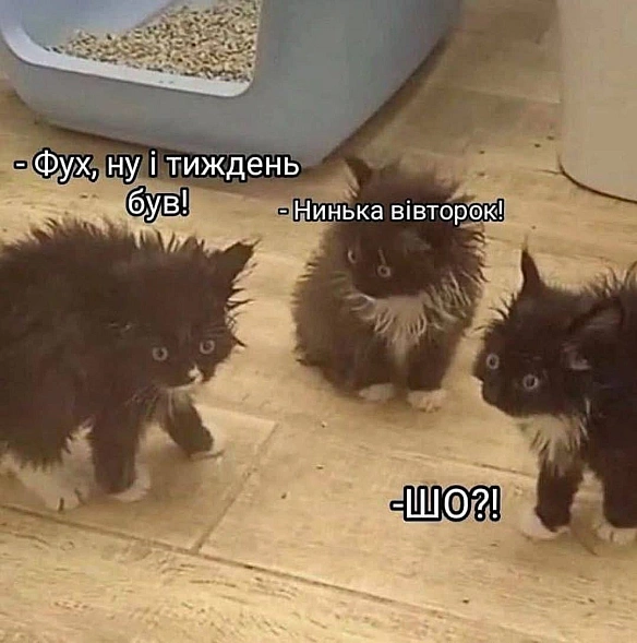 on we.ua