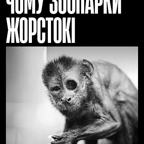 Зоопарки не захищають тварин — вони позбавляють їх свободи. Обмежений простір, монотонність і шум натовпу — це життя під контр... - Кожна тварина on we.ua