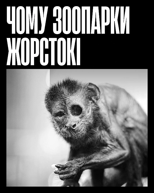 Зоопарки не захищають тварин — вони позбавляють їх свободи. Обмежений простір, монотонність і шум натовпу — це життя під контр... - Кожна тварина on we.ua