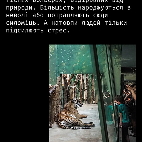 Зоопарки не захищають тварин — вони позбавляють їх свободи. Обмежений простір, монотонність і шум натовпу — це життя під контр... - Кожна тварина on we.ua