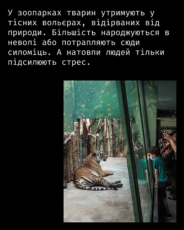 Зоопарки не захищають тварин — вони позбавляють їх свободи. Обмежений простір, монотонність і шум натовпу — це життя під контр... - Кожна тварина on we.ua