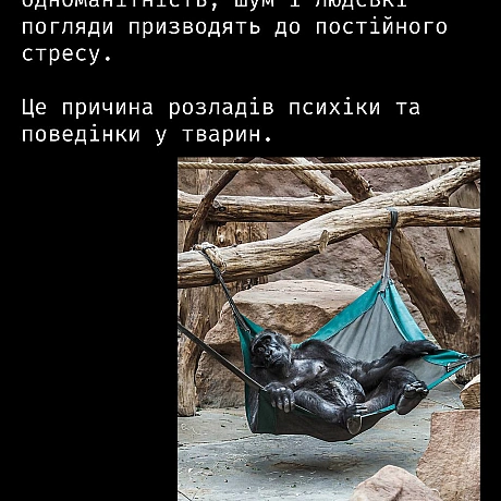 Кожна тварина on we.ua