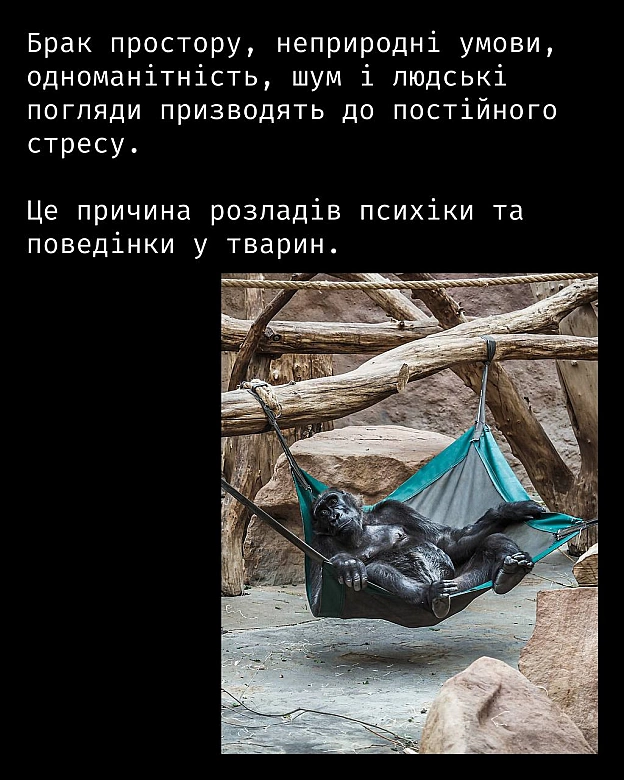 Кожна тварина on we.ua