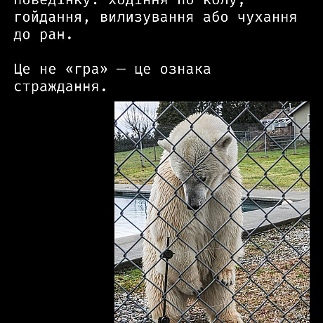 Кожна тварина on we.ua