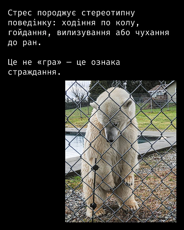 Кожна тварина on we.ua