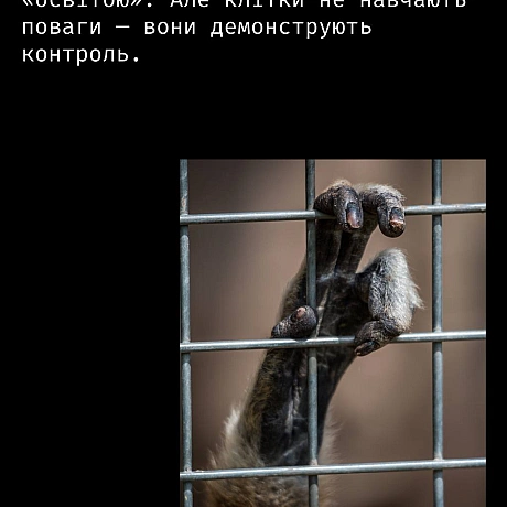 Кожна тварина on we.ua