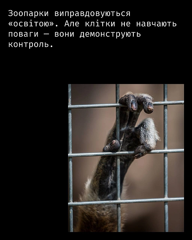 Кожна тварина on we.ua