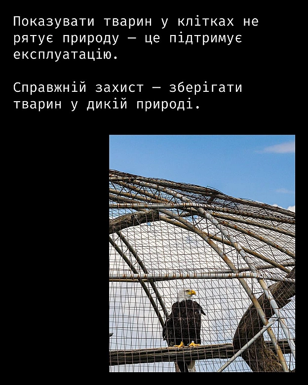 Кожна тварина on we.ua