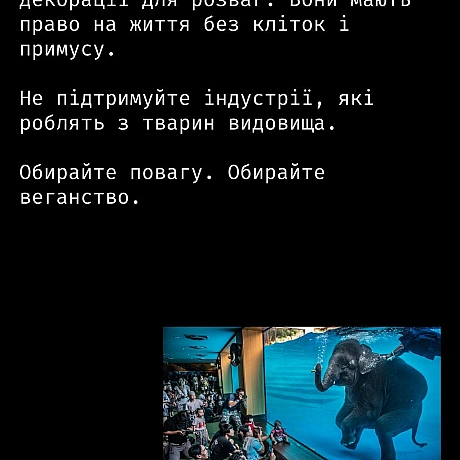 Кожна тварина on we.ua