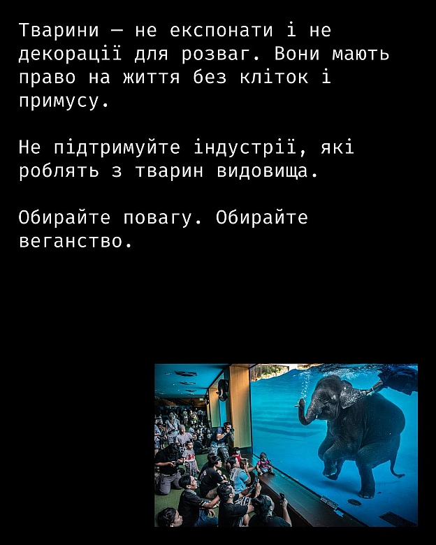 Кожна тварина on we.ua
