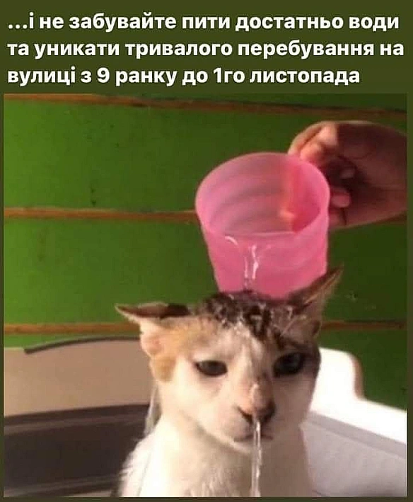 Баба і Кіт на we.ua