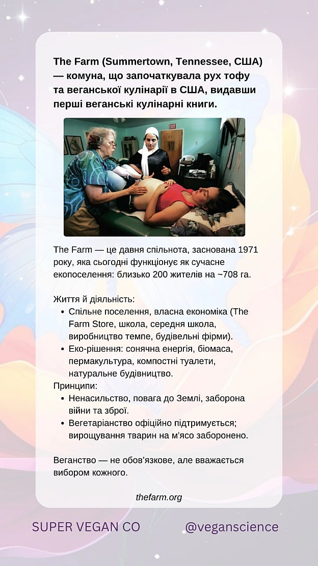 Втекти до веганського раю. Частина 2У світі зростає кількість веган просторів.✔️ Vegan Ecovillage Nillumbik (Австралія)Еко-х... - 🚀 Веганка: наука та інновації на we.ua