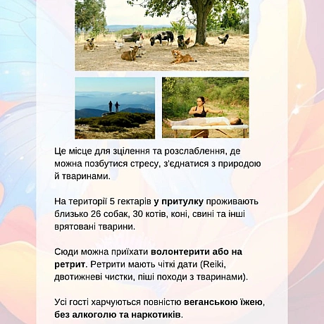 🚀 Веганка: наука та інновації на we.ua