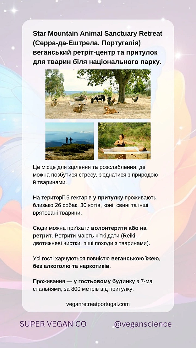 Втекти до веганського раю. Частина 2У світі зростає кількість веган просторів.✔️ Vegan Ecovillage Nillumbik (Австралія)Еко-х... - 🚀 Веганка: наука та інновації на we.ua