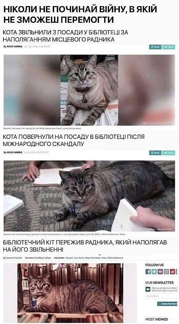 Баба і Кіт на we.ua