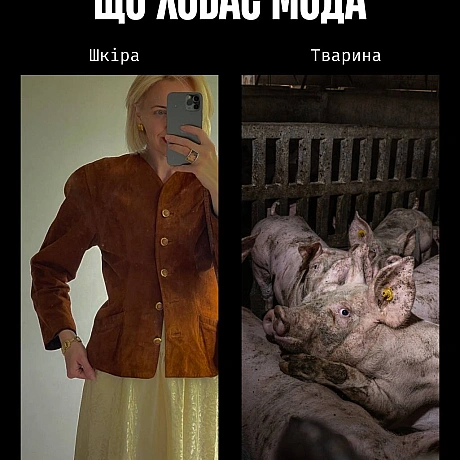 У моді краса часто будується на стражданні.Якщо шкіра, хутро чи вовна — це норма, то насильство закладене в основу індустрії. ... - Кожна тварина on we.ua