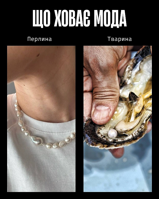 У моді краса часто будується на стражданні.Якщо шкіра, хутро чи вовна — це норма, то насильство закладене в основу індустрії. ... - Кожна тварина on we.ua