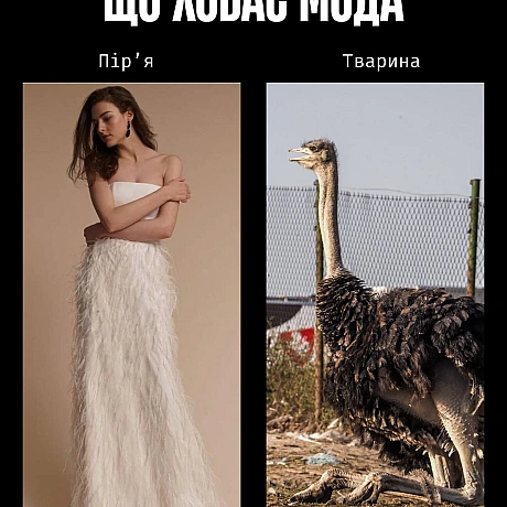 У моді краса часто будується на стражданні.Якщо шкіра, хутро чи вовна — це норма, то насильство закладене в основу індустрії. ... - Кожна тварина on we.ua