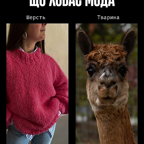 У моді краса часто будується на стражданні.Якщо шкіра, хутро чи вовна — це норма, то насильство закладене в основу індустрії. ... - Кожна тварина on we.ua